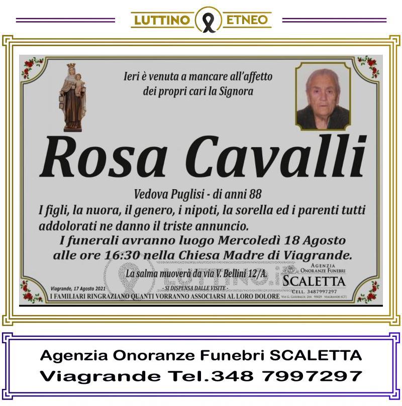 Rosa  Cavalli 